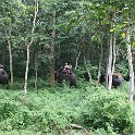 India & Nepal 2011 - 0554